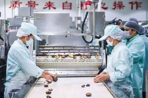 包子生產(chǎn)線-奇能設(shè)計(jì)百科